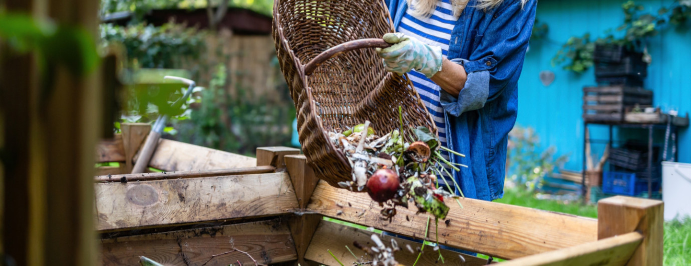 Gnojówka z obornika – jak uzyskać naturalny nawóz w prosty sposób?