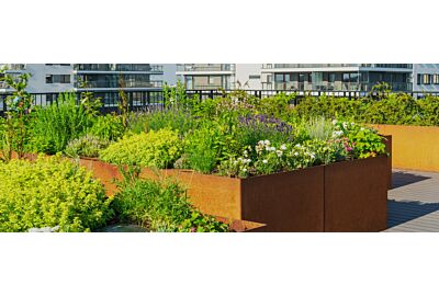 dwie kobiety uprawiające rośliny na dachu domu