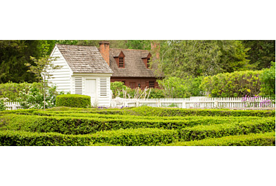 Angielski ogród - jak zaprojektować romantyczną przestrzeń pełną uroku?