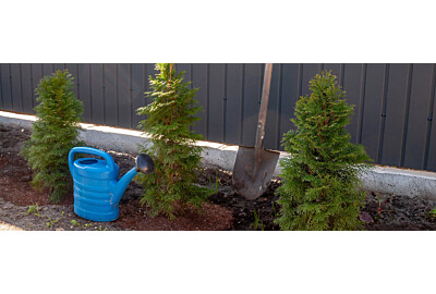 Aranżacja ogrodu przy płocie: Zrób to sam – proste kroki do stworzenia przestrzeni