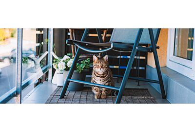 Balkonowy "must-have"