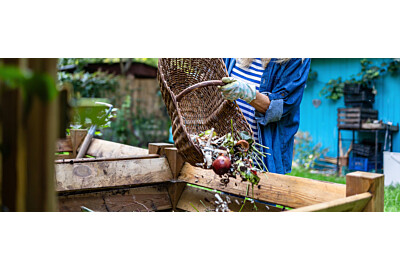 Gnojówka z obornika – jak uzyskać naturalny nawóz w prosty sposób?