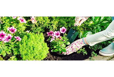 Jak dbać o kwiaty w ogrodzie