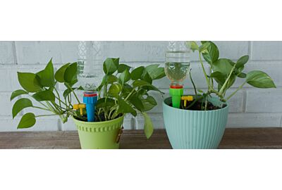 Jak dbać o rośliny doniczkowe na urlopie