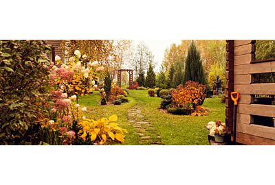 Kolorowe krzewy na jesień i zimę