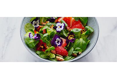 Kwiaty jadalne w ogrodzie