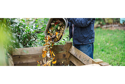 Ogród pyta, Focus odpowiada #2: Naturalne gnojówki ogrodowe – przegląd skutecznych rozwiązań 