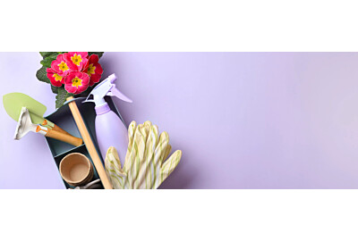 Organizacja ogrodu - jak uporządkować przestrzeń dzięki domkom i skrzyniom?	