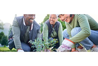 Początkujący ogrodnik. Jakie rośliny wybrać na początek