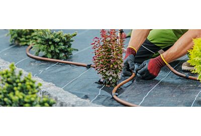 Naziemny czy podziemny? Wybieramy najlepszy system nawadniania