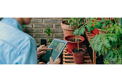 Top 5 aplikacji dla ogrodników 