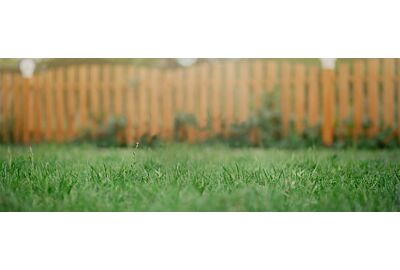 Trawnik z rolki czy siewu?