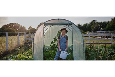 Uprawa w tunelu foliowym: co warto sadzić pod folią?