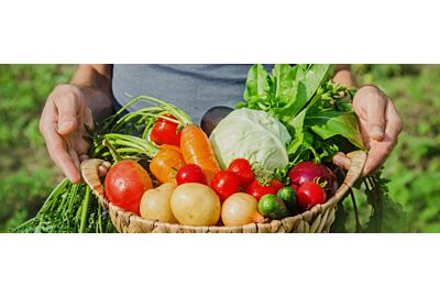 Uprawa warzyw -  czy jest opłacalna?