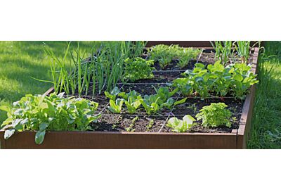 podwyższane grządki_miniaturka