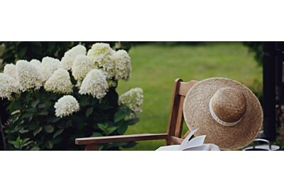 Biały ogród – kwiaty, trawy, krzewy i meble 