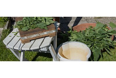 Gnojówka ze skrzypu i pokrzywy