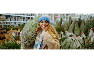 Jaką choinkę wybrać na święta?