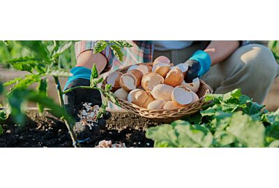 Najlepsze naturalne nawozy do ogrodu