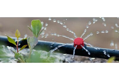 Nawadnianie ogrodu — prosty system w 3 krokach!