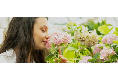 Ogród zmysłów. Rośliny o wyjątkowym zapachu