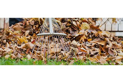 Październik w ogrodzie 