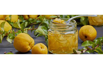 pigwa na zime-przetwory z pigwy na stole