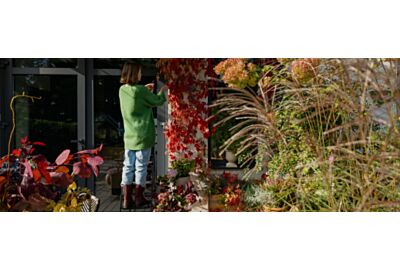 kobieta robiąca porządki w ogrodzie jesienia i przygotuwoujaca sie ogrod do zimy