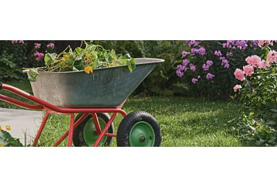 Wrzesień w ogrodzie 