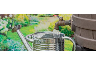 woda deszczowa w ogrodzie