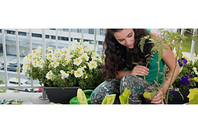 Jakie wyposażenie jest niezbędne do uprawy roślin na balkonie?