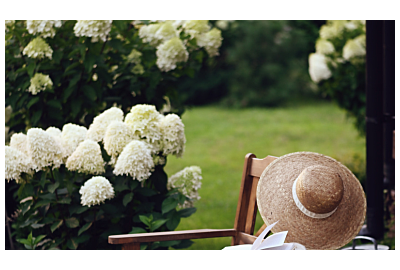 Biały ogród – kwiaty, trawy, krzewy i meble 