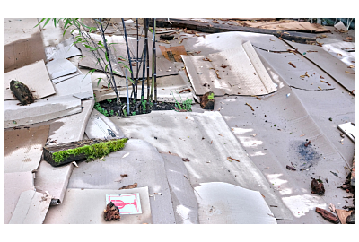 Ściółkowanie kartonami w ogrodzie - zalety i wady