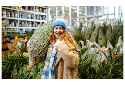 Jaką choinkę wybrać na święta?