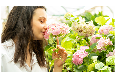 Ogród zmysłów. Rośliny o wyjątkowym zapachu