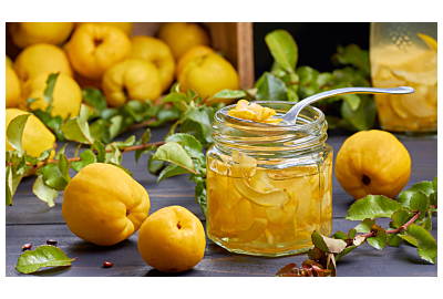 pigwa na zime-przetwory z pigwy na stole