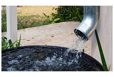 Zbieranie wody opadowej - ile można zaoszczędzić?