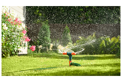 5 błędów w nawadnianiu trawnika