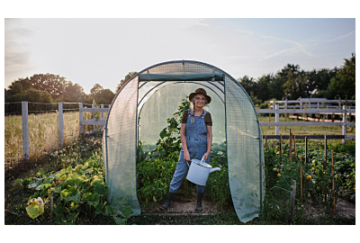 Uprawa w tunelu foliowym: co warto sadzić pod folią?