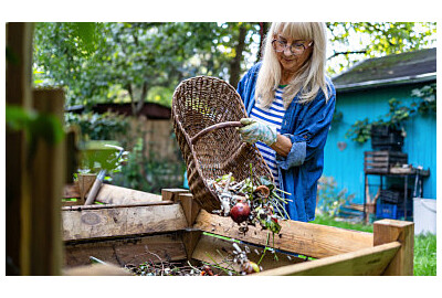 Gnojówka z obornika – jak uzyskać naturalny nawóz w prosty sposób?