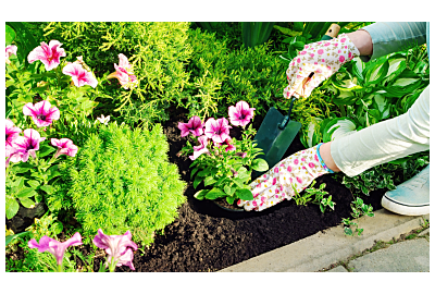 Jak dbać o kwiaty w ogrodzie