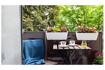 Jak zrobić zdjęcie pięknej aranżacji ogrodu, działki lub tarasu?