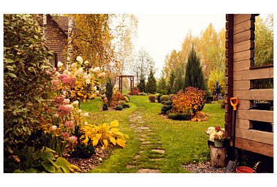 Kolorowe krzewy na jesień i zimę