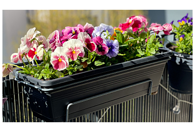 Kwietnik na balkonie - jak stworzyć go od podstaw?