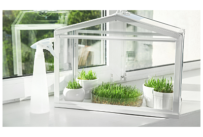 Mini szklarnia na parapet 