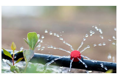 Nawadnianie ogrodu — prosty system w 3 krokach!