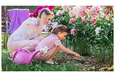 Uprawa roślin rabatowych