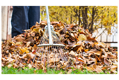 Październik w ogrodzie 