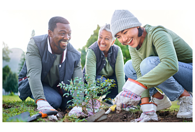 Początkujący ogrodnik. Jakie rośliny wybrać na początek