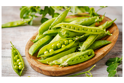 Uprawa roślin strączkowych